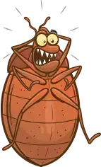 punaise de lit qui doit être exterminée par les exterminateurs de royale extermination