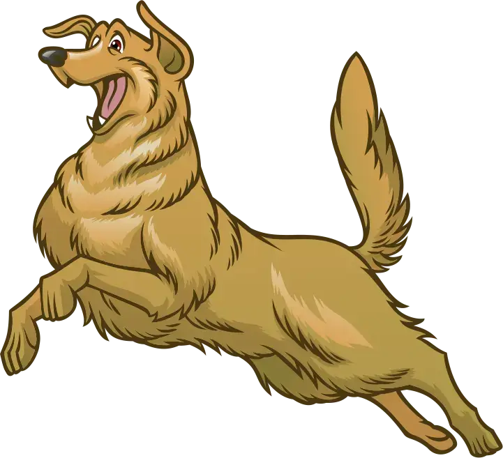 chien de royale extermination pour la détection canine de punaises de lit